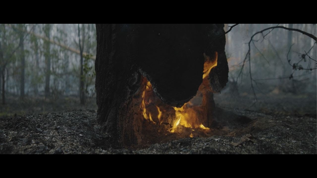 Ексклюзивні кадри: на Харківщині лісівники гасять пожежі у замінованому лісі