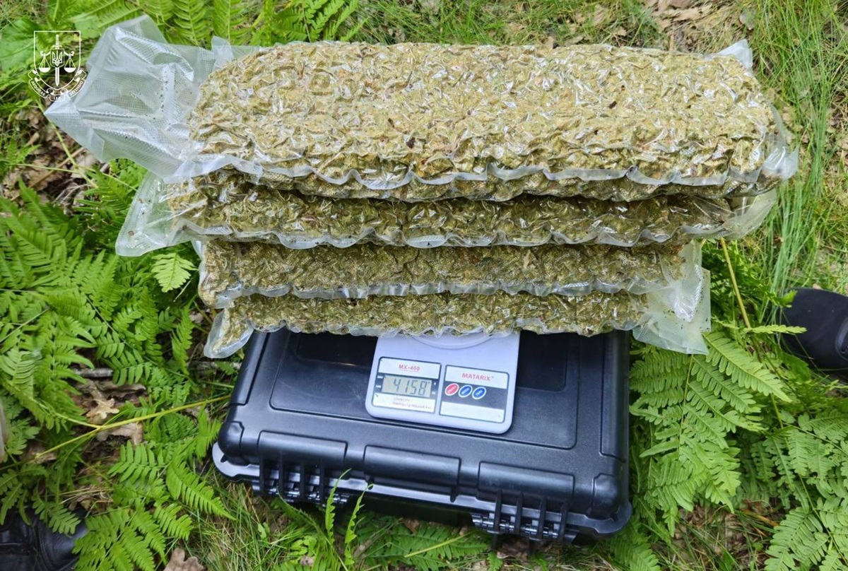 Новини України - Правоохоронці знешкодили наркокартель із Кривого Рогу