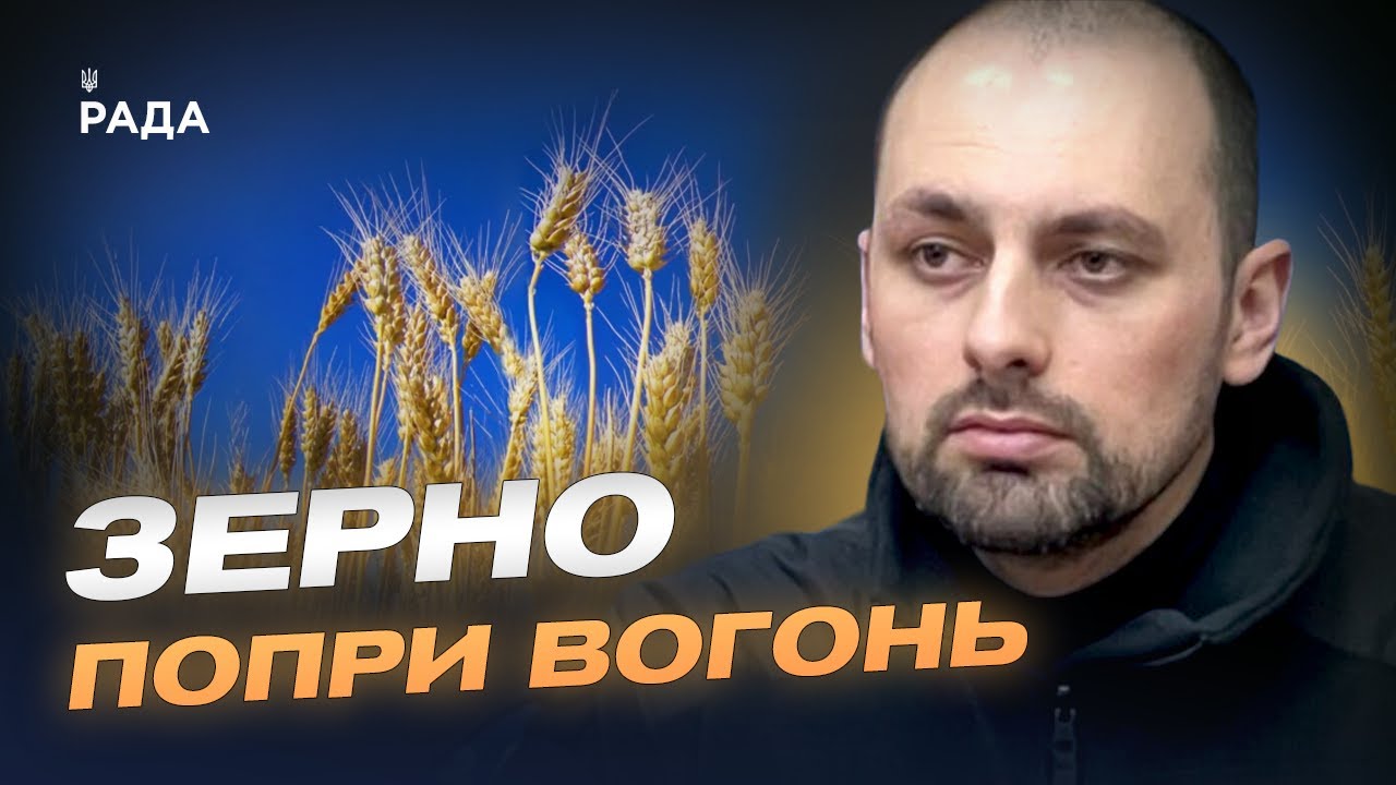 Українське зерно на світових ринках: результати та перспективи | Олександр Семирга