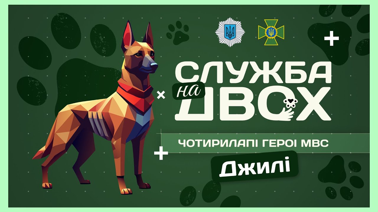 🛂 ДЖИЛІ - собака-прикордонниця після окупації | Служба на двох