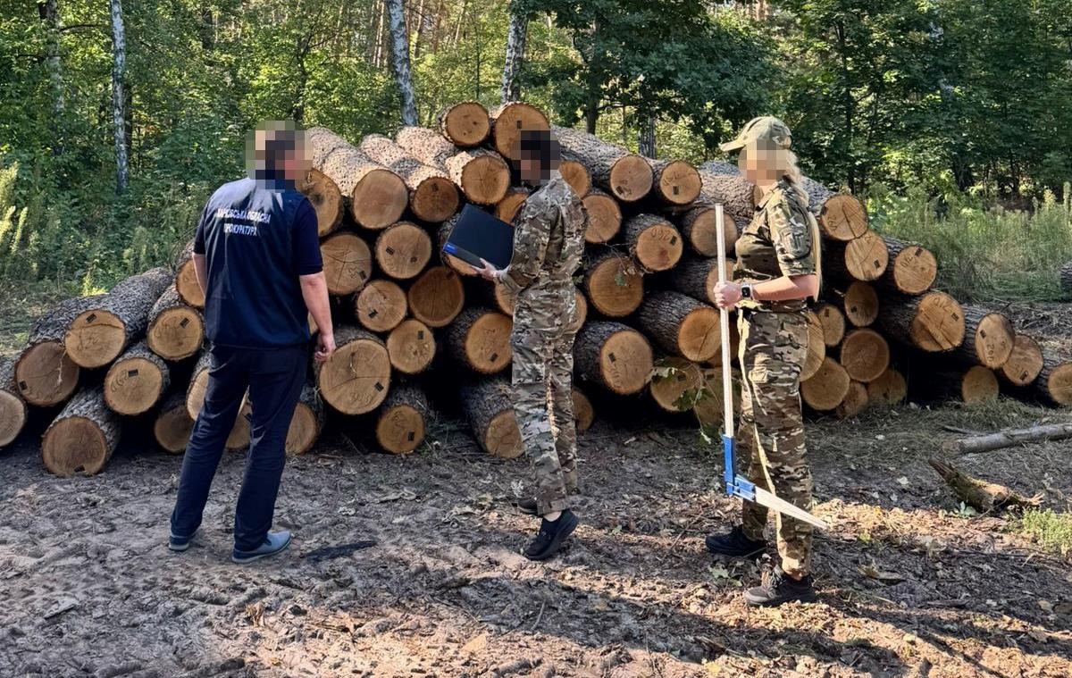 Новини України - ДБР оголосило підозру екскерівнику лісгоспу Харківщини