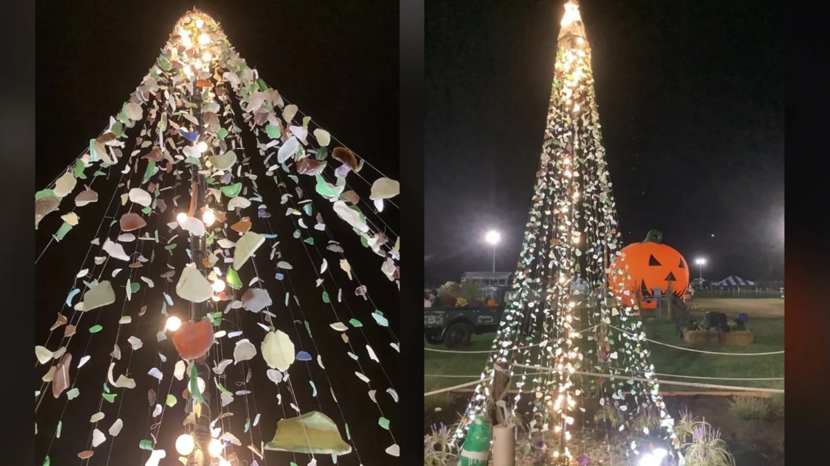 Новини світу - Американець створив 4,5-метрову ялинку з морського скла