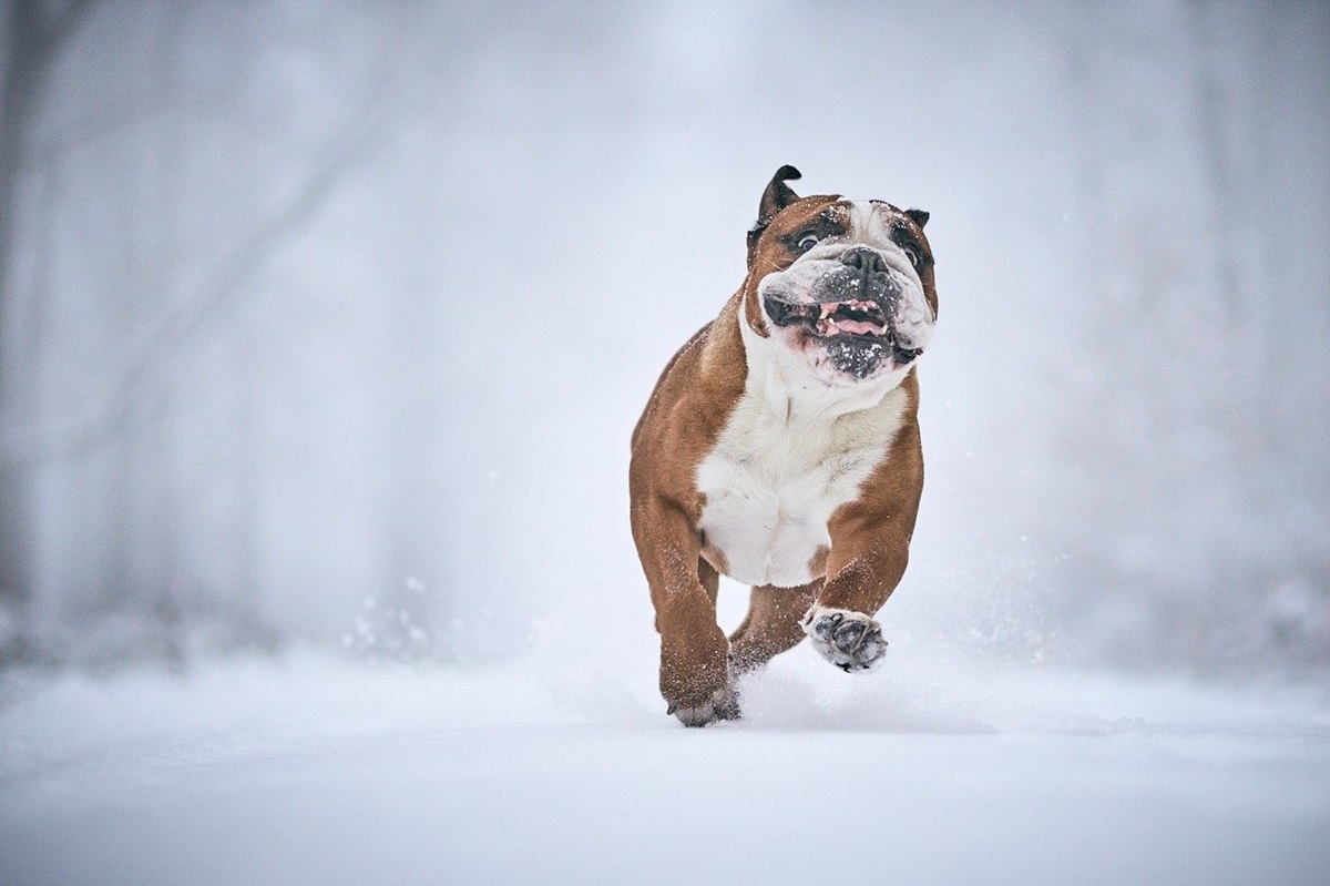 Новини культури - Гороскоп для всіх знаків зодіаку на 15 січня 2026 року